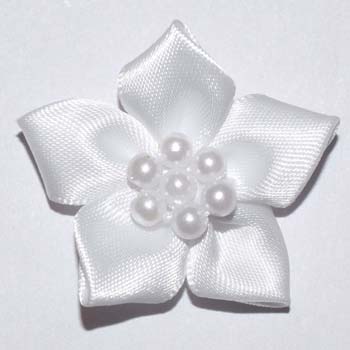 Pearl Daisy White pack 20